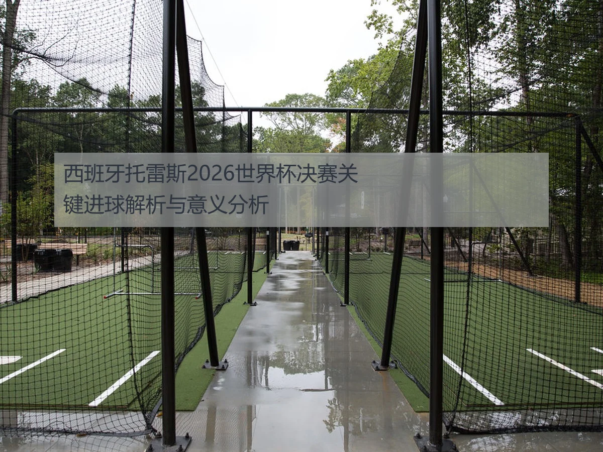 西班牙托雷斯2026世界杯决赛关键进球解析与意义分析